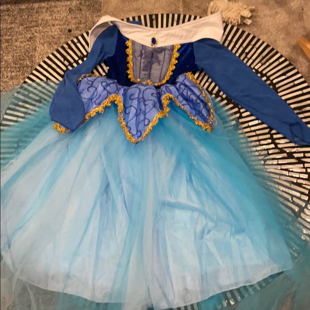 Girls princess dress